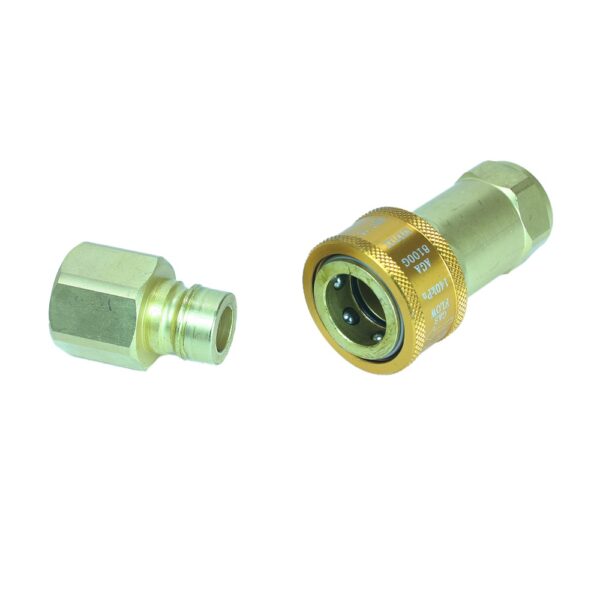 QC15BSP - Quick Disconnect Device LOW PRESSURE 1/2 F & F BSP - 5A